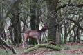 bd_DSC00255 (2)